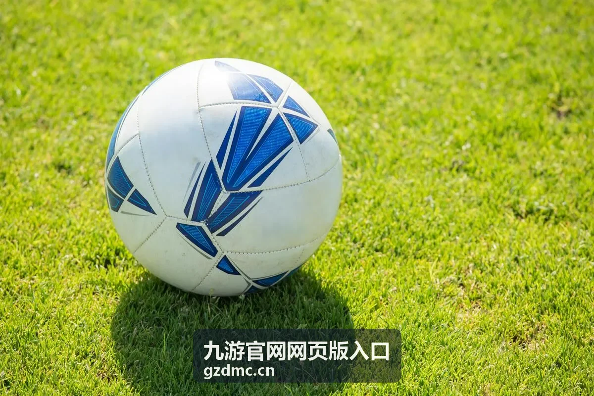 九游官网网页版入口网络环境自查封面